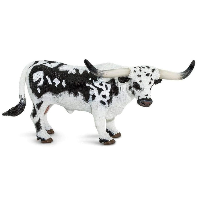 Texas Longhorn Bull 100261