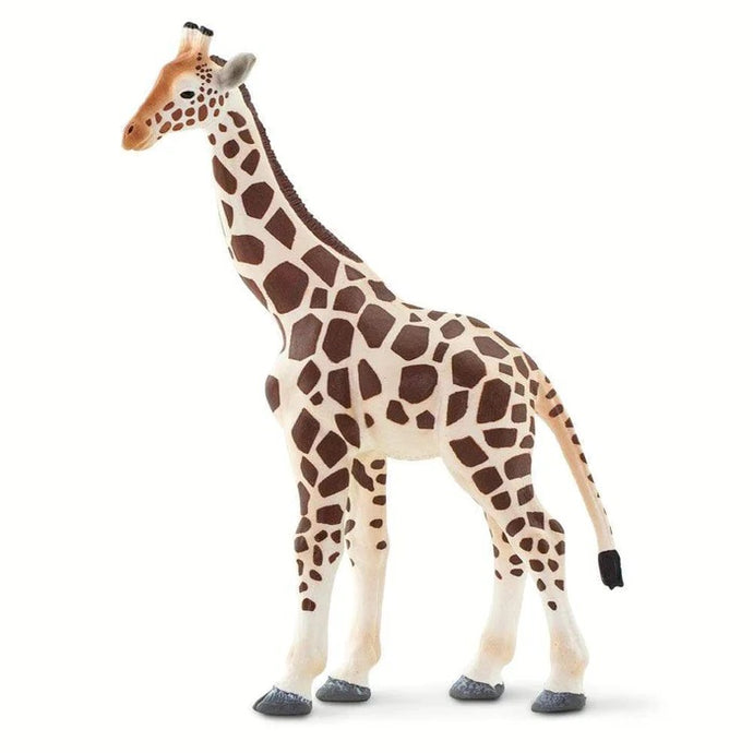 Giraffe 100421