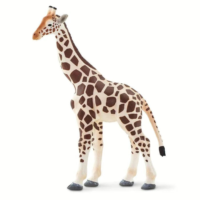Giraffe 100421