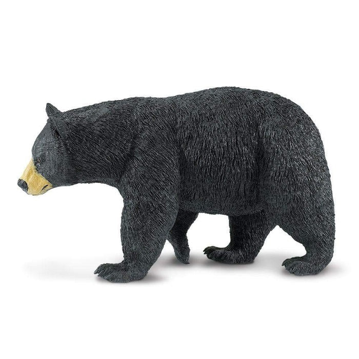 Black Bear 112589