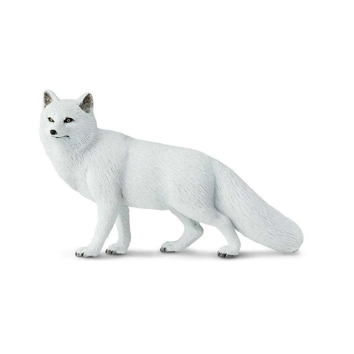 Arctic Fox 113489