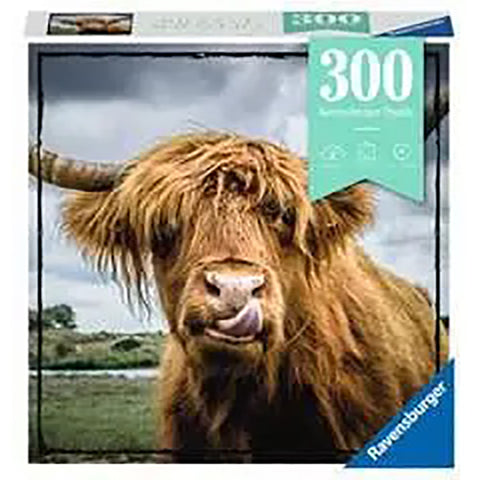 Front of Box