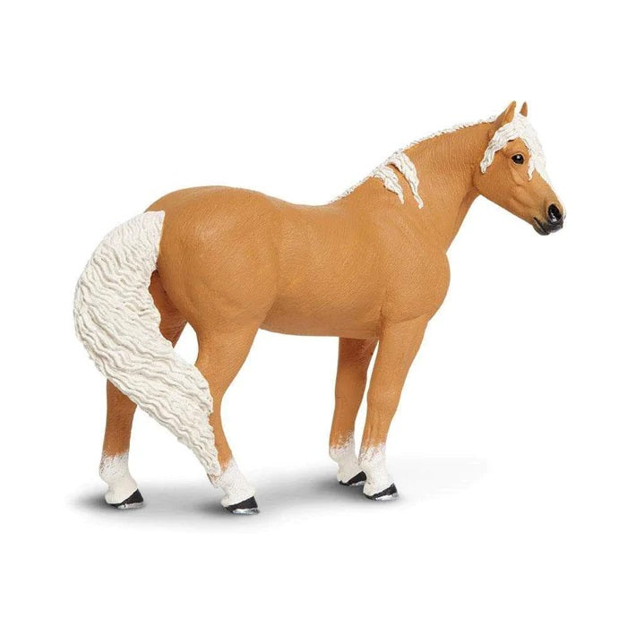 Palomino Mare 150505