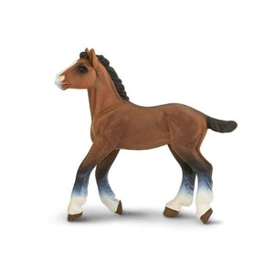 Clydesdale Foal 151405
