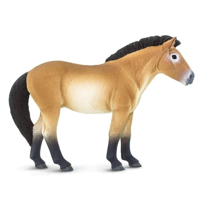 Przewalski's Horse 153505