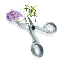 My Favorite Scissors 1536