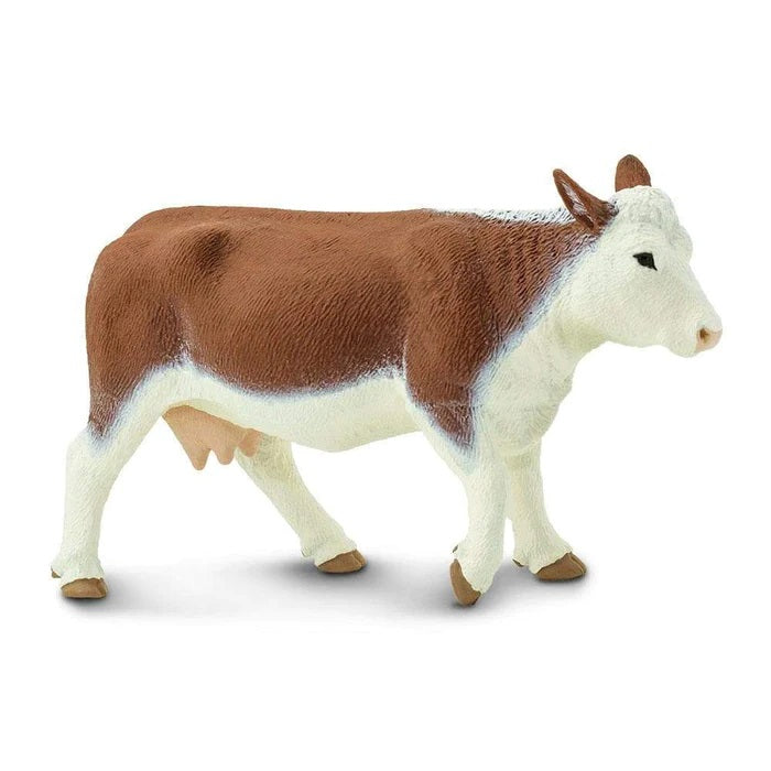 Hereford Cow 160029