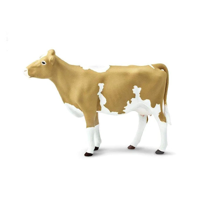 Guernsey Cow 162029