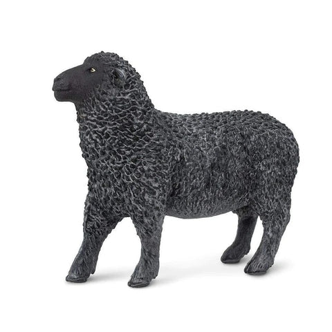 Black Sheep 162229