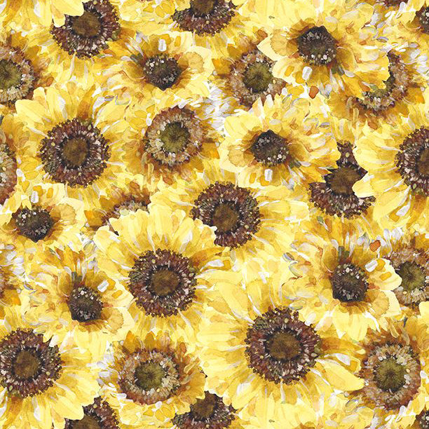 Sunflower Sweet Collection Packed Sunflowers Cotton Fabric 17792-552