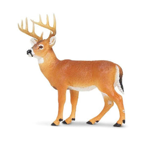 Whitetail Buck 180029