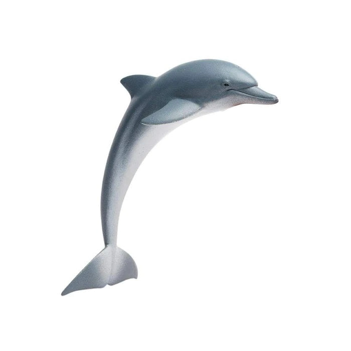 Dolphin 200129