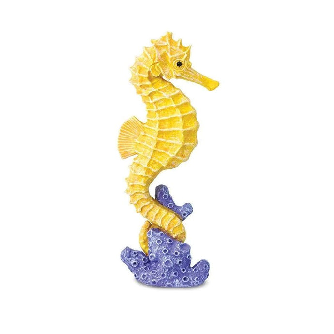 Seahorse 204329