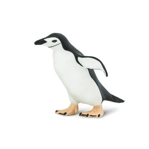 Chinstrap Penguin 220429