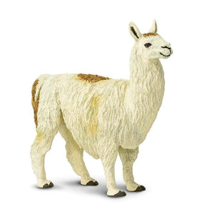 Llama 227429