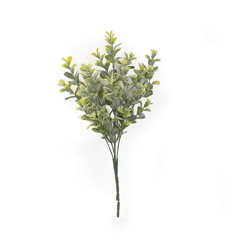 Stone Dust Boxwood Short Pick