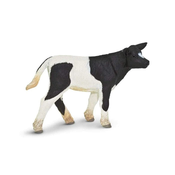 Holstein Calf 232729