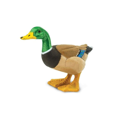Duck 233229