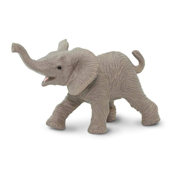 African Elephant Baby 238529