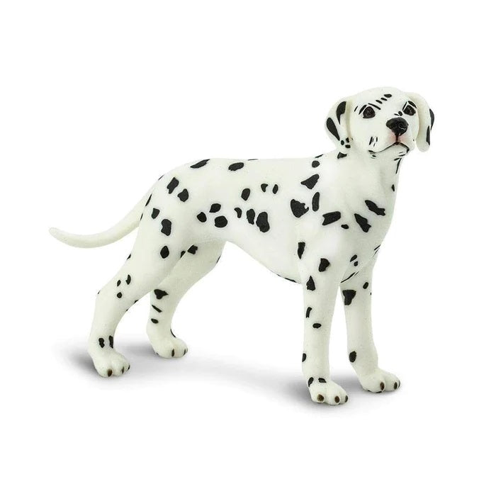 Dalmatian 239529