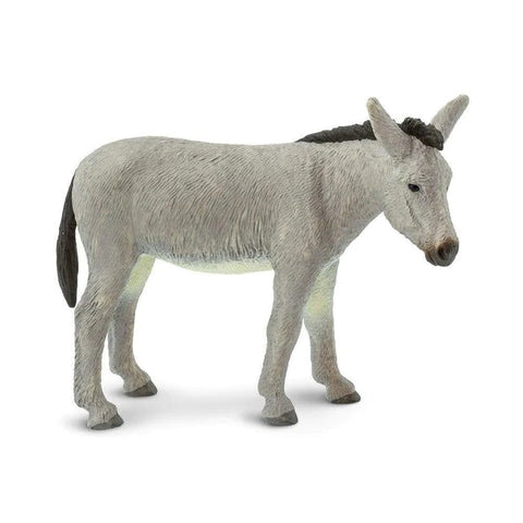Donkey 249829