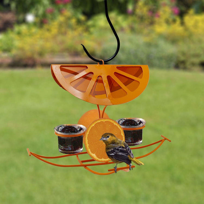 Metal Oriole Fruit and Nut Feeder