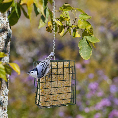 Large Suet Cake Feeder 25122