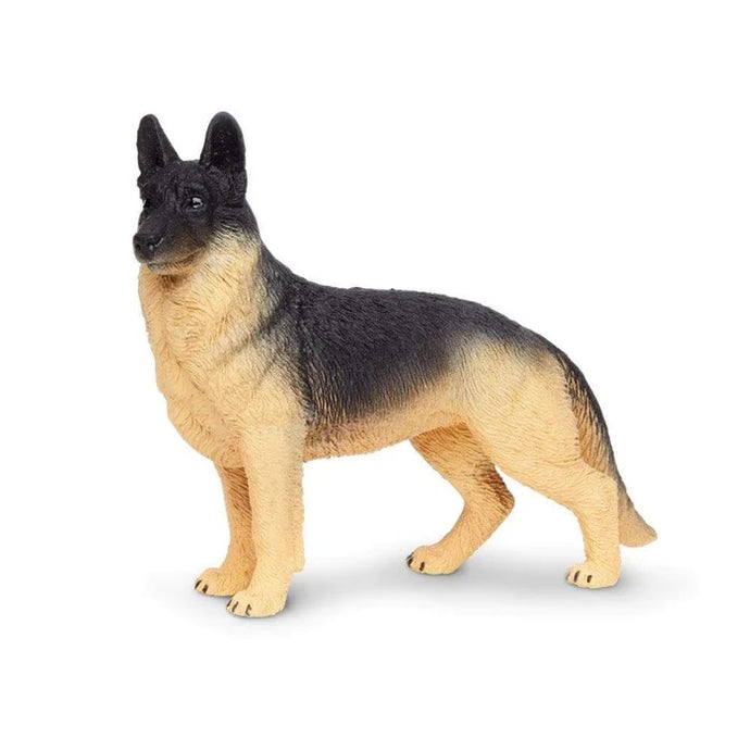 German Shepherd 251729