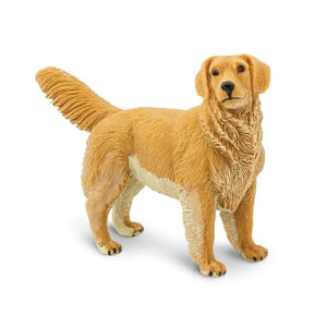 Golden Retriever 253129