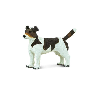 Jack Russell Terrier 254229