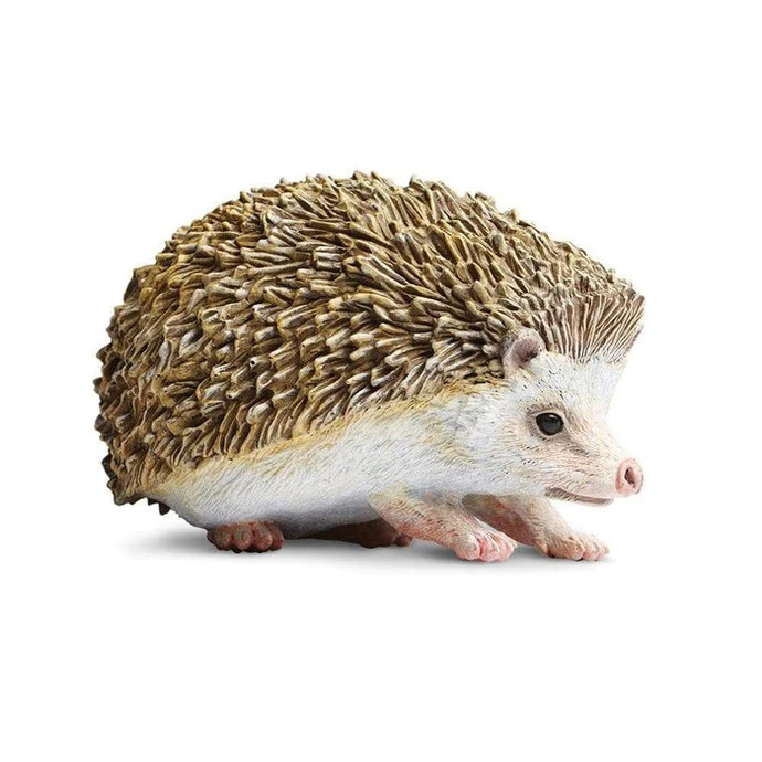 Hedgehog 261129