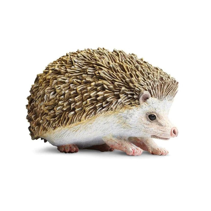 Hedgehog 261129