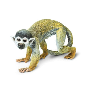 Squirrel Monkey 269829