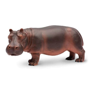 Hippopotamus 270429