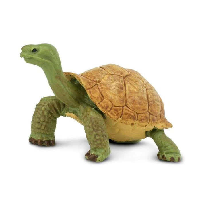 Giant Tortoise 272529