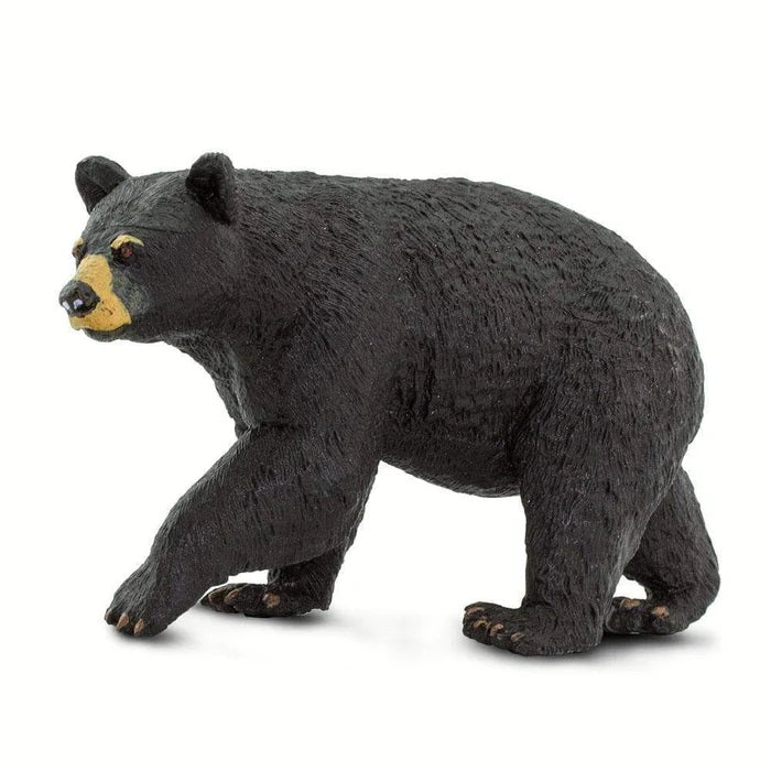 Black Bear 273529