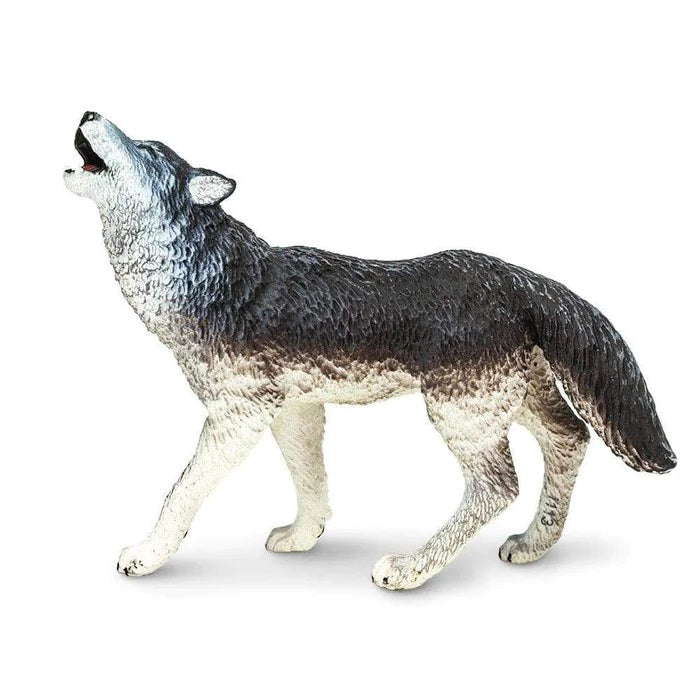 Gray Wolf 273829