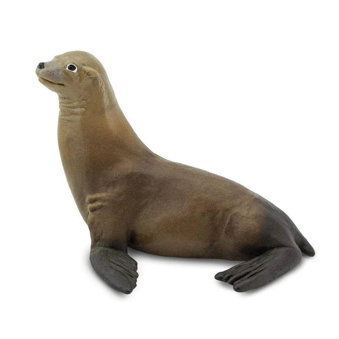 Sea Lion 274229