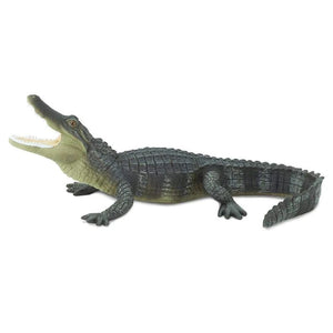 Alligator 276429