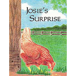 Josie's Surprise 2807