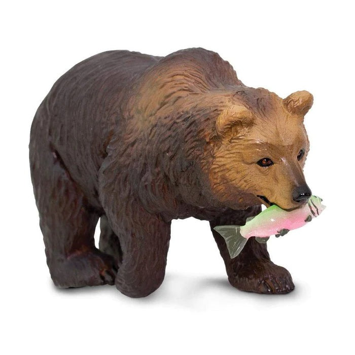 Grizzly Bear with Salmon 281929