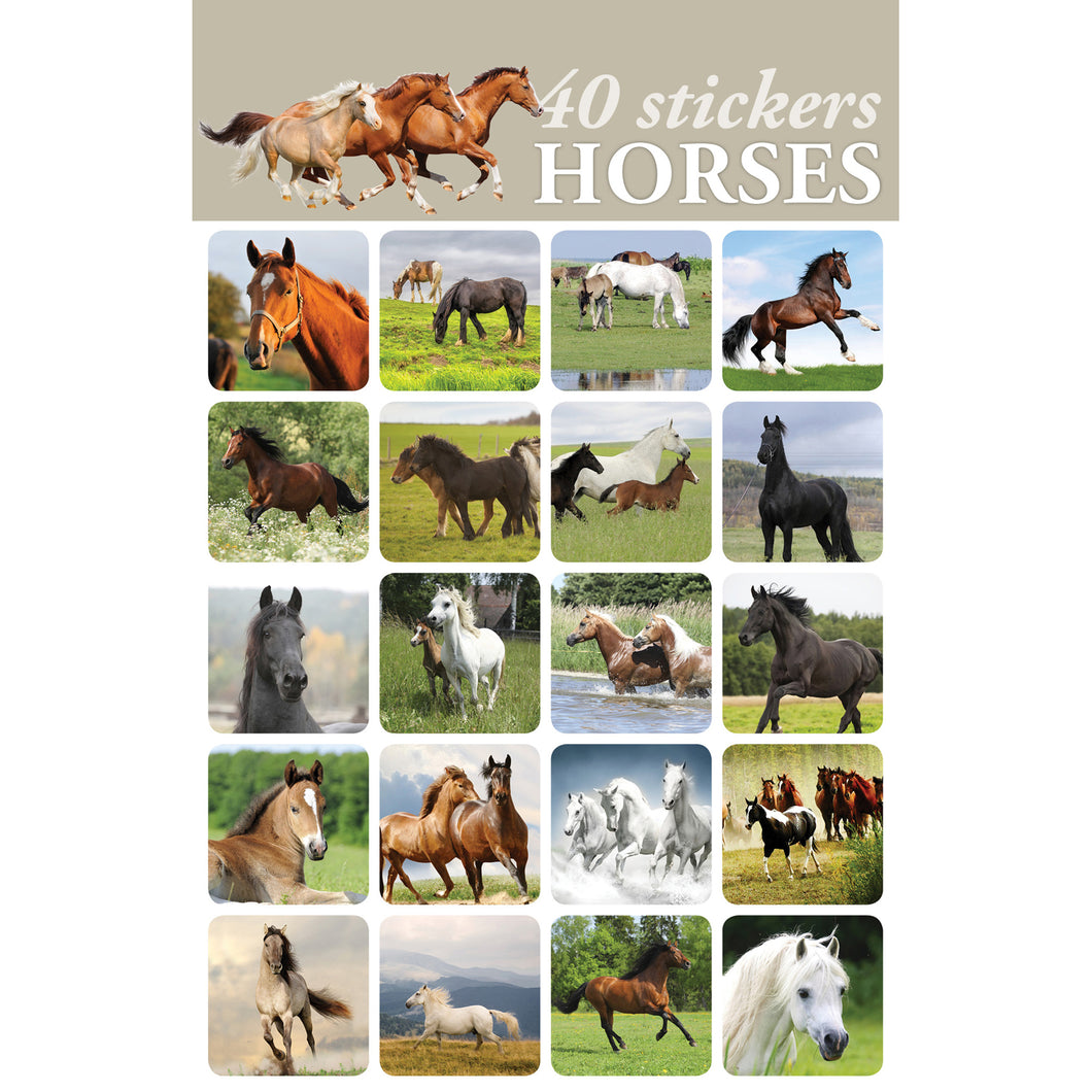 Horse stickers