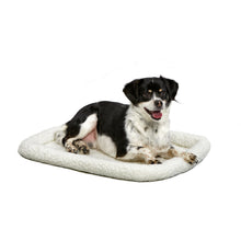 Dog on pet bed