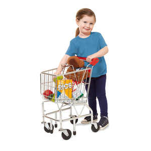 child with play shopping cart