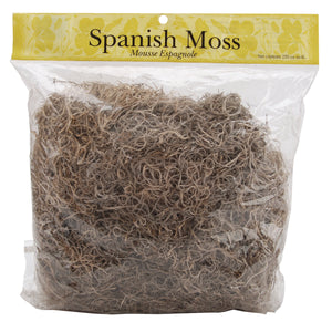 Spanish Moss 21063
