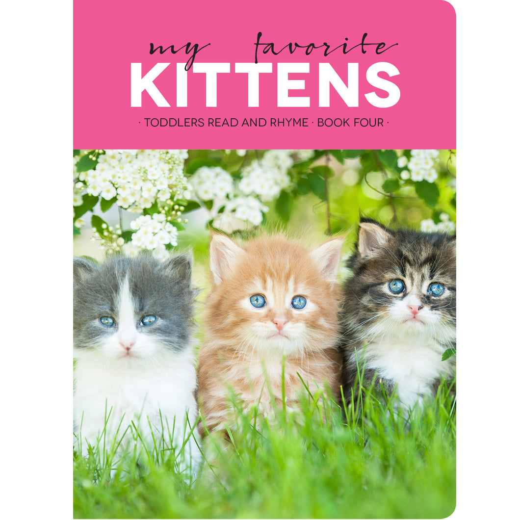Faith View Creations My Favorite Kittens Board Book 4375 – Good's Store  Online