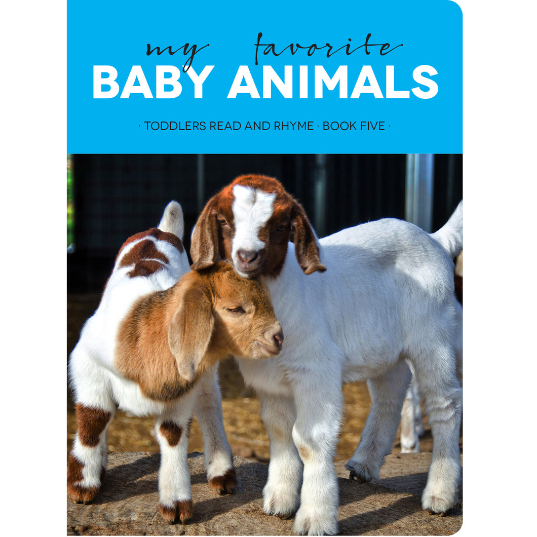Faith View Creations My Favorite Baby Animals Board Book 4376