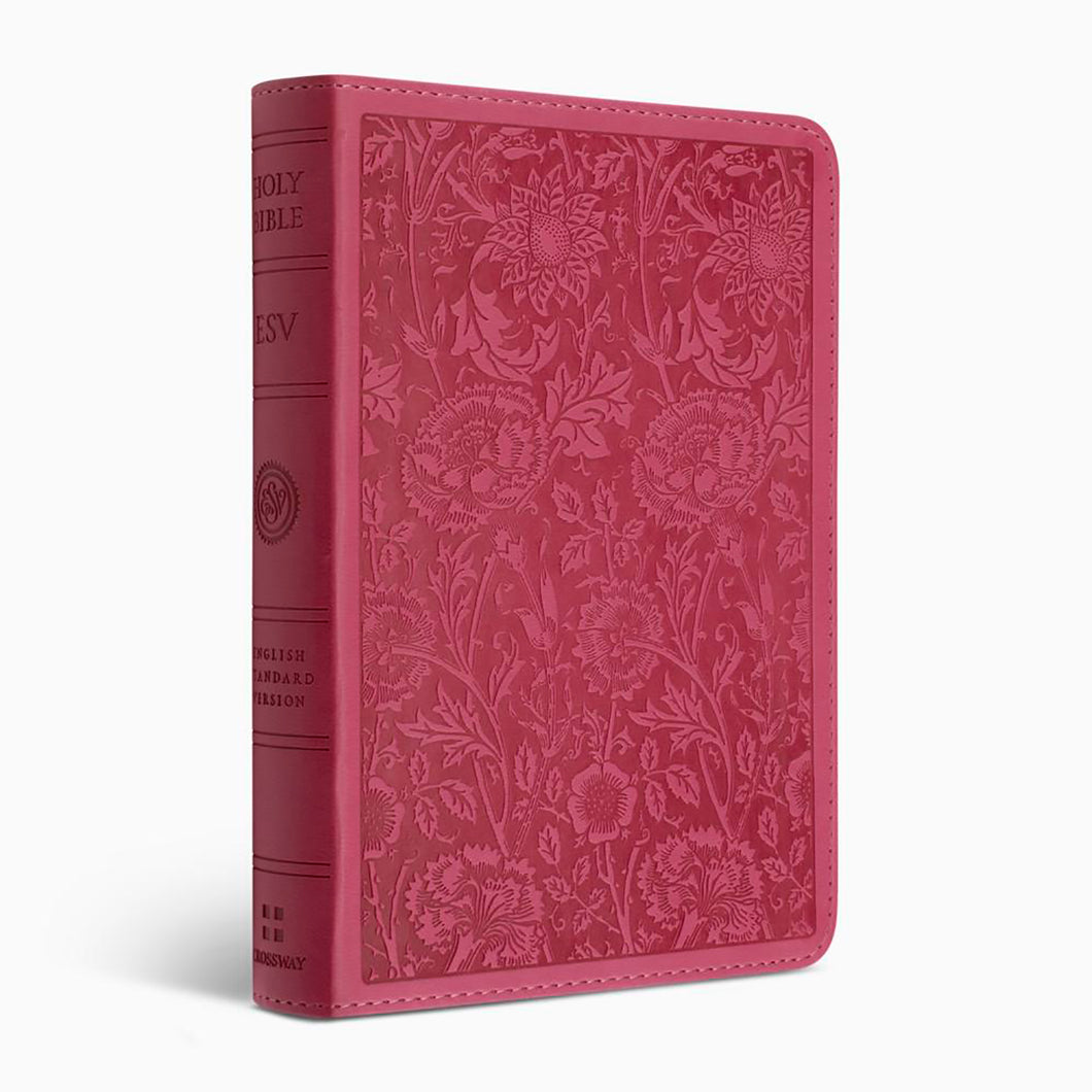 ESV Large Print Compact Bible 45571