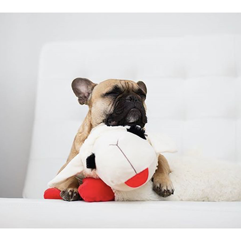 Multipet Lamb Chop Plush Dog Toy – Good's Store Online