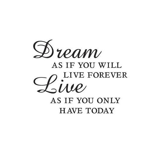 Dream Live Vinyl Wall Decal 5288